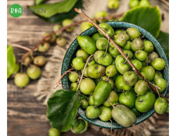 De la răsad la recoltă: Secretele cultivării de mini-kiwi în clima din România