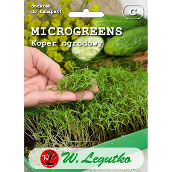 Microplante - Mărar de grădină