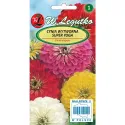Seminte de Zinnia (Cârciumăreasă) Super Yoga, mix multicolor