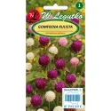 Semijnțe de Gomfrena, mix multicolor