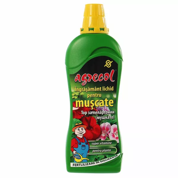 Îngrăşământ lichid pentru muşcate