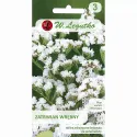 Seminte de Limonium sinuatum (Sărăturică) alb