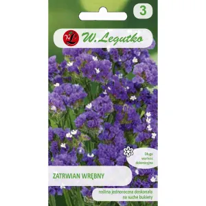 Seminte de Limonium sinuatum (Sărăturică) violet