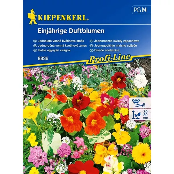 Semințe de flori anuale parfumate, mix multicolor