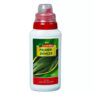 Îngrășământ pentru palmieri