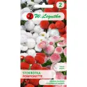 Semințe de Bănuței Pomponette, mix multicolor