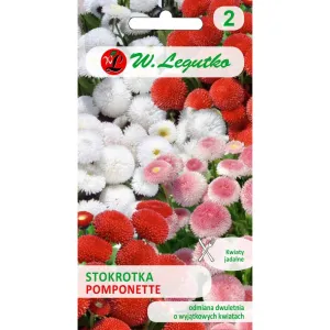 Semințe de Bănuței Pomponette, mix multicolor