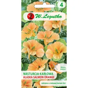 Semințe de Condurul doamnei Alaska Salmon Orange
