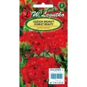 Semințe de Garoafă turcească Scarlet Beauty
