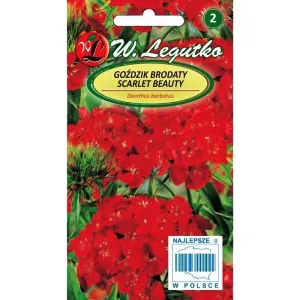 Semințe de Garoafă turcească Scarlet Beauty