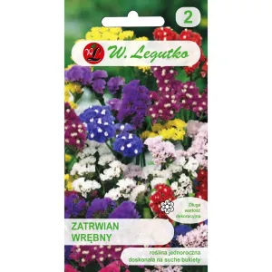 Semințe de Limonium sinuatum (Sărăturică) mix multicolor