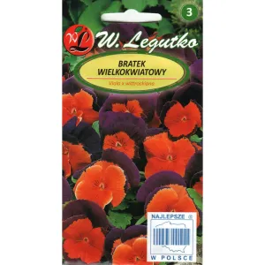Semințe de Panseluțe Orange Violet