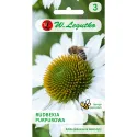 Semințe de Rudbeckia (Bulgări de soare) albă