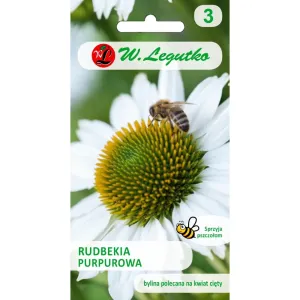 Semințe de Rudbeckia (Bulgări de soare) albă