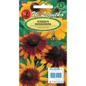 Semințe de Rudbeckia (Bulgări de soare) mix multicolor