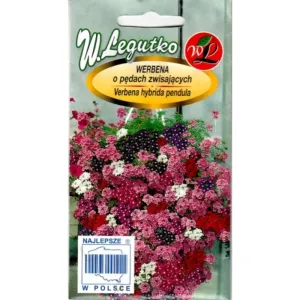 Semințe de Verbena curgătoare, mix multicolor Legutko