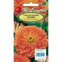 Semințe de Zinnia (Cârciumăreasă) Eldorado