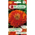 Semințe de Zinnia (Cârciumăreasă) Orange King