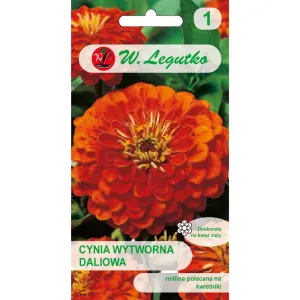 Semințe de Zinnia (Cârciumăreasă) Orange King