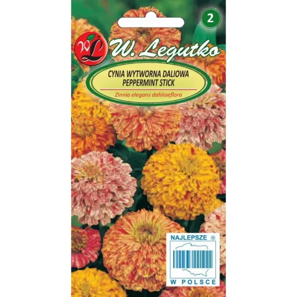 Semințe de Zinnia Peppermint Stick, mix multicolor