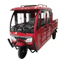 Triciclu electric ROA Cargo T2 cu 4 uși fără permis