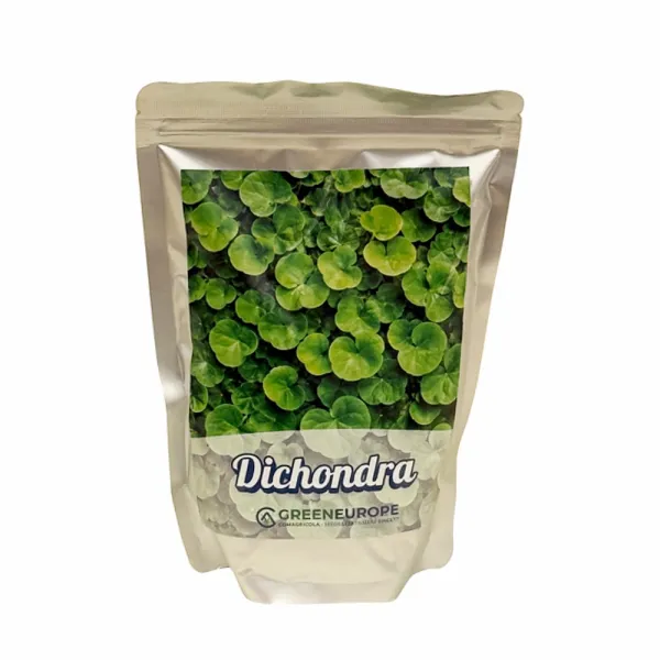 Semințe gazon Dicondra Repens 500 g