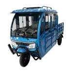 Vehicule electrice