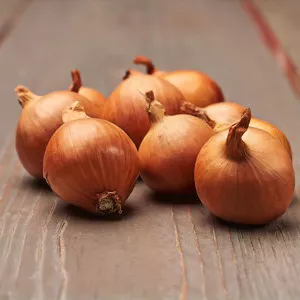 Arpagic de ceapă șalotă Golden Gourmet
