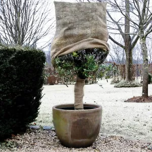 Sac din iută natur 80x60 cm – Protecție plante iarnă, ambalaj ecologic reutilizabil