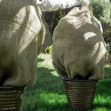 Sac din iută natur 80x60 cm – Protecție plante iarnă, ambalaj ecologic reutilizabil