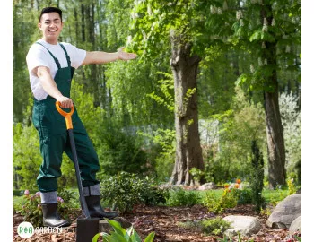 Grădina ta este pe umbră? Află ce plante prosperă în astfel de condiții. Soluții pentru orice colț uitat de soare
