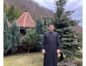 Plantele menționate în Biblie. Simboluri și semnificații