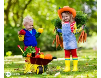 Calendar de semănat: Planifică-ți culturile pentru tot anul