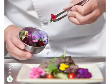 Decor pentru grădină sau delicii gourmet? Top 25 de flori pe care le poți mânca