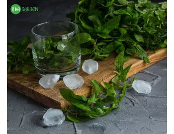 Deliciul verii: Prepară lichior de mentă și prune, după rețeta Ritei Vitt