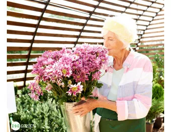Grădina dedicată florilor pentru tăiere. Ce să plantezi dacă îți dorești buchete ca în florării?