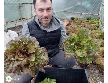 Cum a transformat grădinăritul viața familiei Dumitrescu: O poveste despre autonomie și alimentație sănătoasă