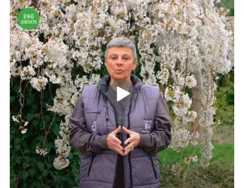 ROA Garden - magazinul preferat al grădinarilor români
