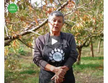 Toamna: Sezonul ideal de plantare? 