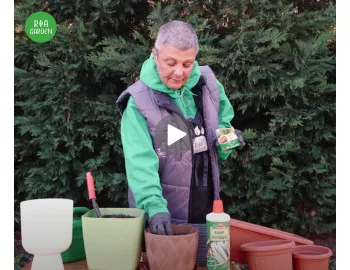 Microgrădina de pe pervaz: Cum să cultivi ierburi aromatice pentru condimente la discreție
