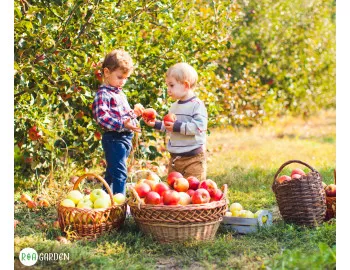 Cultivarea hranei proprii: Provocare sau binecuvântare?