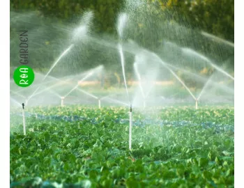 Înființarea unui sistem de irigații eficient pentru grădina de legume