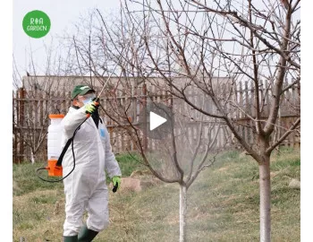 Stropirile de iarnă la pomii fructiferi | Tratamente esențiale pentru o livadă sănătoasă