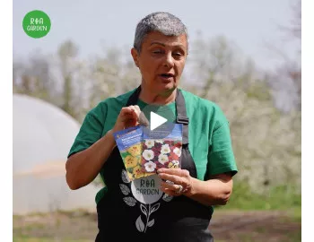 Plante decorative care protejează culturile de legume | Spune adio pesticidelor