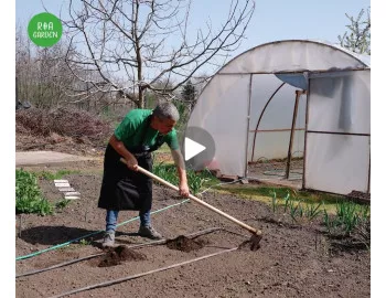 Înființarea culturii de fasole – Evită greșelile comune