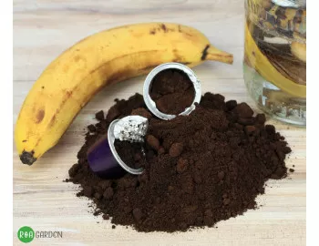 DIY: Îngrășământ bio pentru citrice – Coji de banană + zaț de cafea = Creștere spectaculoasă!