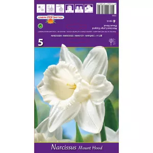Narcise cu cupă mare Mount Hood