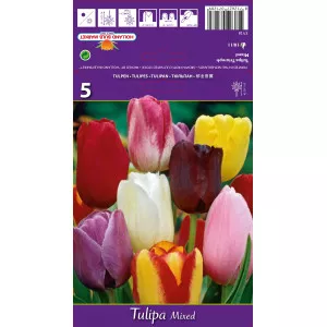 Lalele triumph mix multicolor
