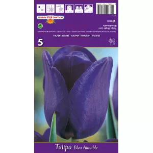 Lalele triumph Blue Aimable