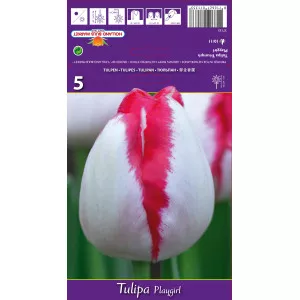 Lalele triumph Playgirl